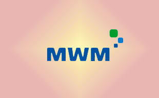 ✓ MWM 0350 1661 Запчасть MWM 